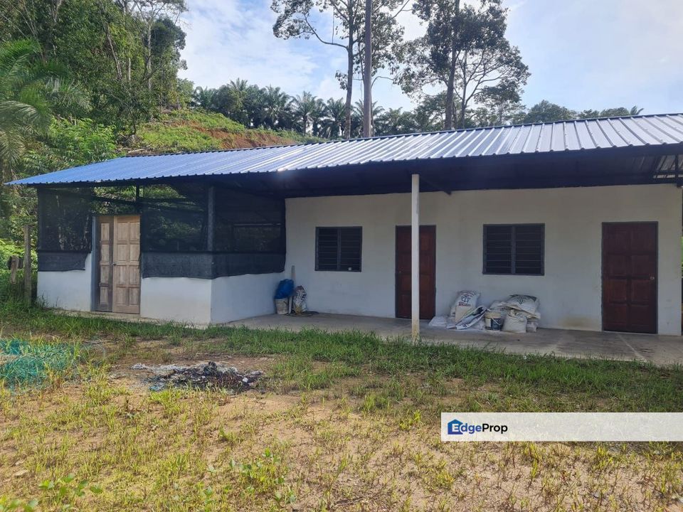 Tanah Pertaniaan Pokok Durian High Quality Area Gambang Kuantan, Pahang, Kuantan