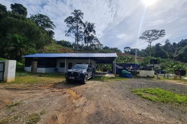 Tanah Pertaniaan Pokok Durian High Quality Area Gambang Kuantan