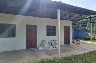 Tanah Pertaniaan Pokok Durian High Quality Area Gambang Kuantan