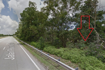 Tanah Pertanian Di Tepi Highway Kuantan Pekan Sesuai RNR Kuantan Pekan