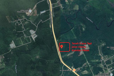 Tanah Pertanian Di Tepi Highway Kuantan Pekan Sesuai RNR Kuantan Pekan