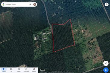 LADANG KELAPA SAWIT  7.63 EKAR UMUR SAWIT 11 TAHUN