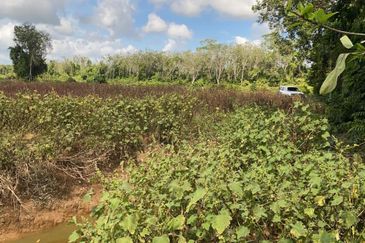 8 acre Pahang Tua, Pahang