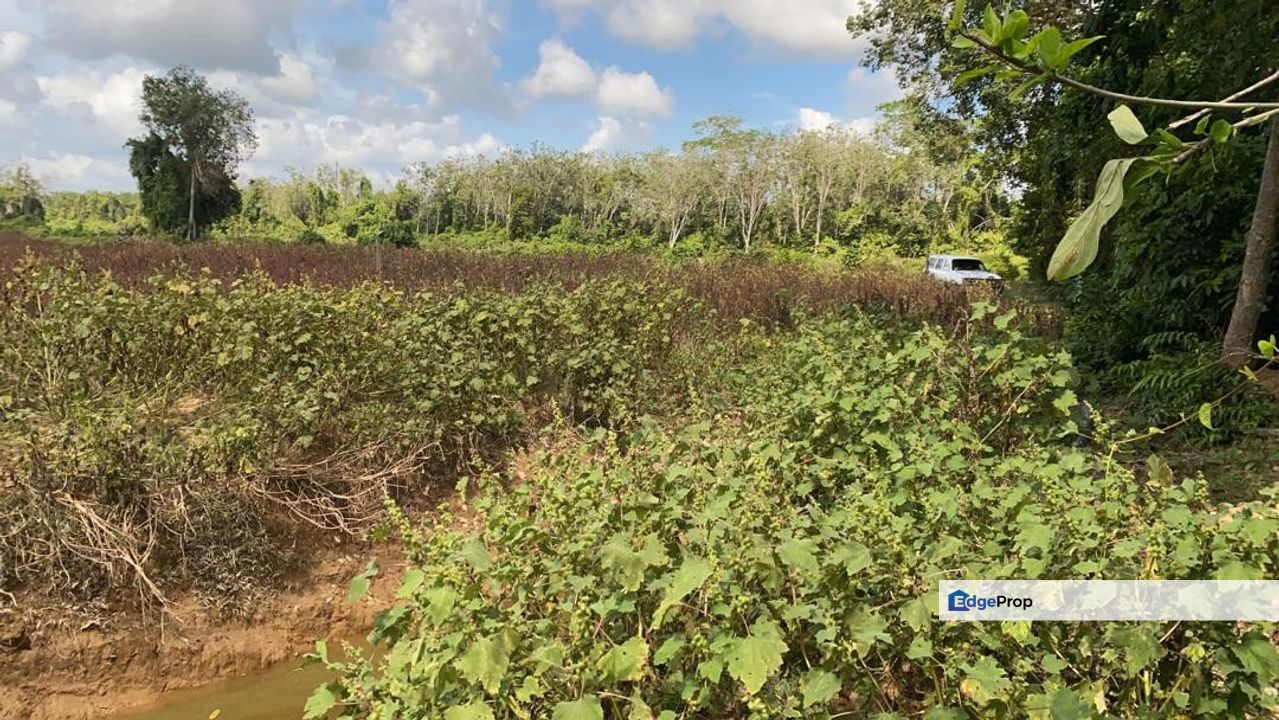 8 acre Pahang Tua, Pahang, Pahang, Pekan