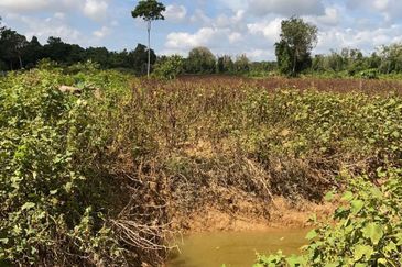 8 acre Pahang Tua, Pahang