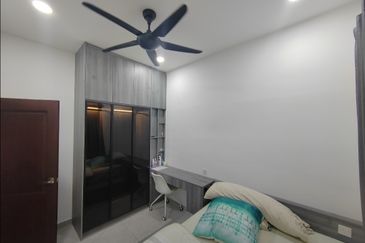 Caffra (Erythrina Series), Setia Alam