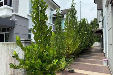 Kulai / Bandar Putra /  IOI Palm Villa Gate C / Double Storey Semi-D House 