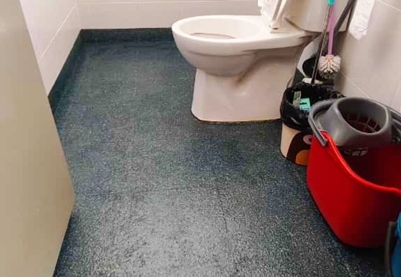 Iskandar Puteri/ Pulai Mutiara Camellia / Double Storey Terrace House