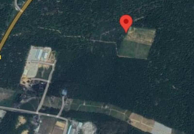 Kulai Agricultural land 古来哥打路农业地出售 🧧从大路进去一公里左右