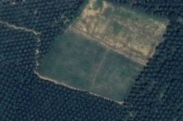 Kulai Agricultural land 古来哥打路农业地出售 🧧从大路进去一公里左右