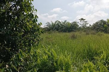 Kulai Agricultural land 古来哥打路农业地出售 🧧从大路进去一公里左右
