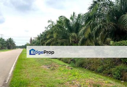 Zoning Industrial Land - Pekan Nanas, Johor, Pekan Nanas (Pekan Nenas)