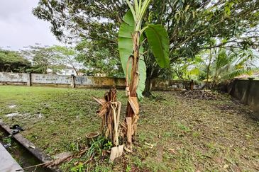 Kota Tinggi - Tmn Sri Saujana - Single storey terrace house corner