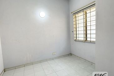 Anggerik Doritis @ Kota Kemuning