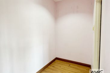 Anggerik Doritis @ Kota Kemuning