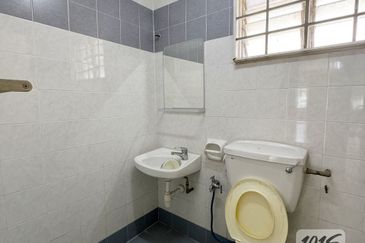 Anggerik Doritis @ Kota Kemuning