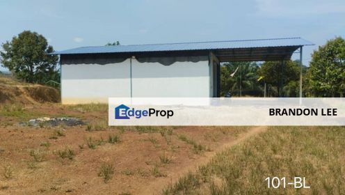 [DURIAN FARM FOR SALE] Simpang Pertang, Negeri Sembilan, Negeri Sembilan, Jelebu