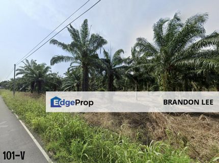 Jalan Tok Muda, Kapar Klang  Agriculture Land Zoning Residential [FOR SALE], Selangor, Kapar 