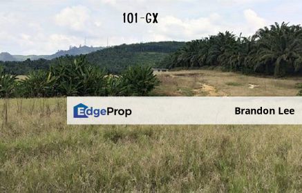 [LAND FOR SALE] Sijangkang, Batu 8 Telok Panglima Garang Agriculture Land, Selangor, Telok Panglima Garang