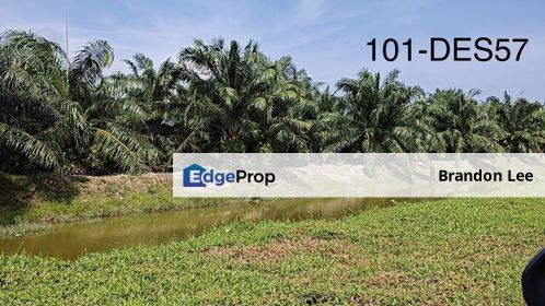 [HOT SALE] Banting 2.68 Acres Agriculture Land, Selangor, Banting