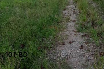 [VALUE INVEST] Sungai Kandis, Shah Alam Zoning Residential Land