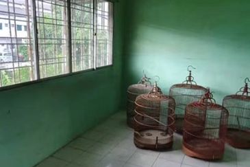 Taman Sri Pelabuhan @ Klang