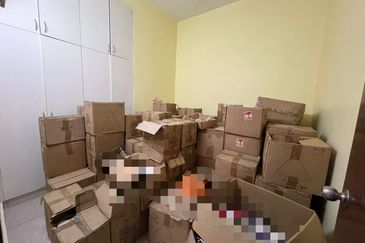 Taman Ehsan Jaya, Pendamaran