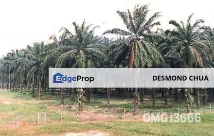 Value Buy 5 Acres Zoning Industrial Land Telok Panglima Garang, Selangor, Telok Panglima Garang