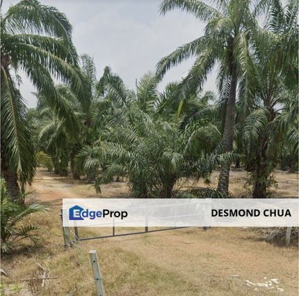 Below Market!! 12 Acres Agricultural Land Kapar Batu 15 Klang, Selangor, Kapar 