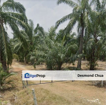 Below Market!! 12 Acres Agricultural Land Kapar Batu 15 Klang, Selangor, Kapar 