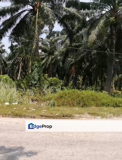Teluk Gong, Klang Agriculture Land for Let, Selangor, Klang