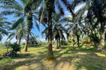 Bandar Mahkota Banting