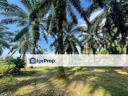 3.6acre Main Road Residential Land Olak Lempit Banting, Selangor, Banting