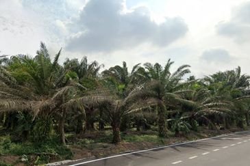 Telok Panglima Garang Industrial Zone