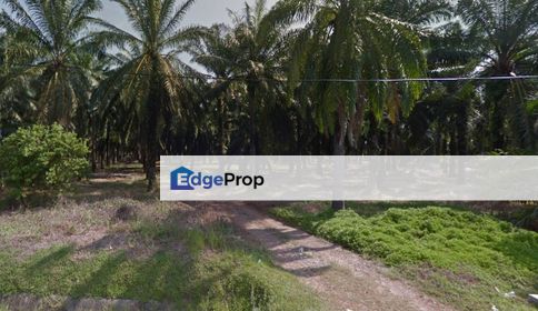 4acre Main Road Zoning Residential Land Chuah Port Dickson, Negeri Sembilan, Port Dickson