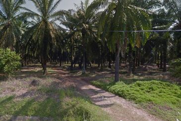 TAMAN SELASIH (PORT DICKSON)