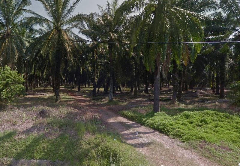 TAMAN SELASIH (PORT DICKSON)