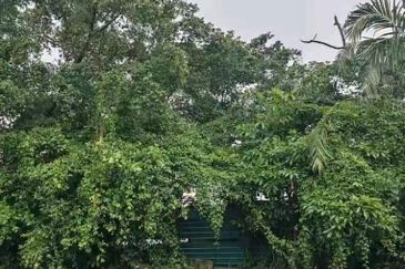 Meru Industrial Park