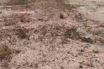 Sijangkang @ Industrial