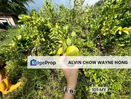[SUPERB INVESTMENT | URGENT SALE] Batang Kali @ Hulu Selangor, Agriculture Land, Selangor, Hulu Selangor