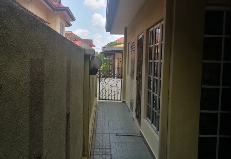 Anggerik Doritis @ Kota Kemuning