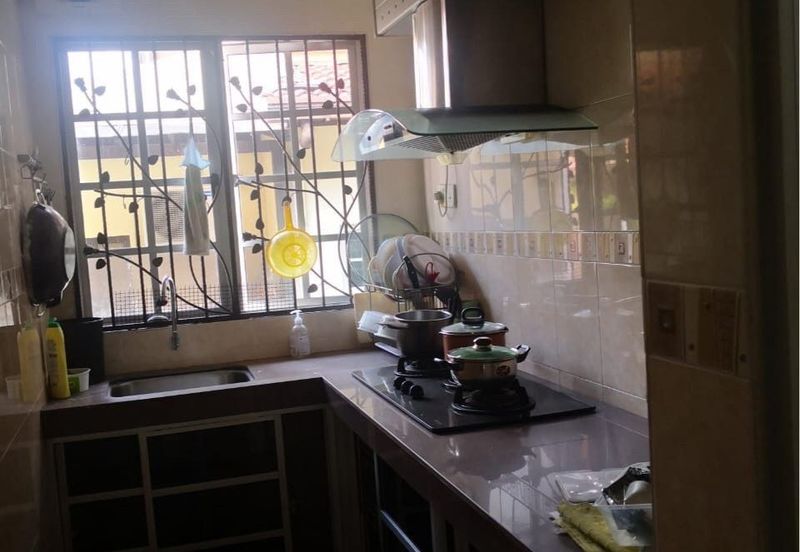 Anggerik Doritis @ Kota Kemuning