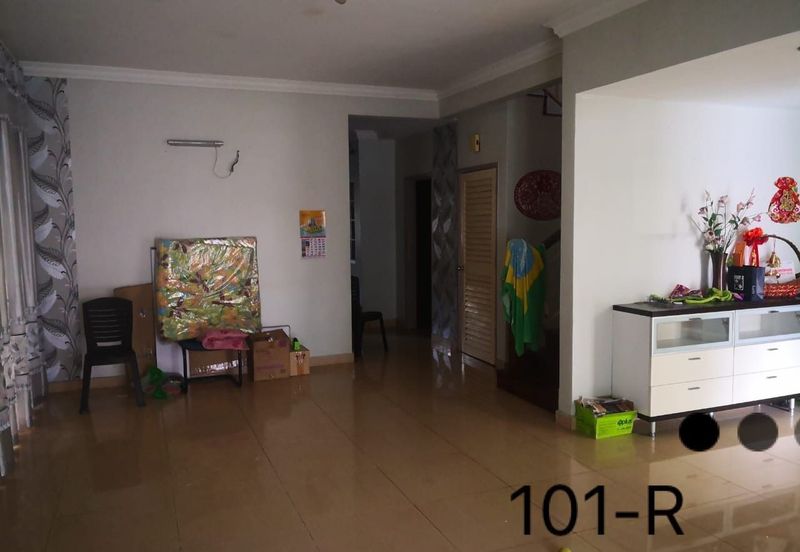 Anggerik Doritis @ Kota Kemuning