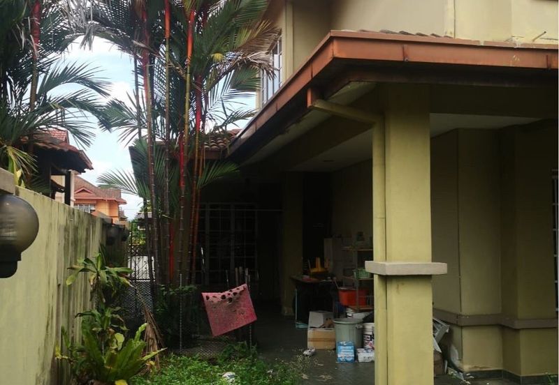 Anggerik Doritis @ Kota Kemuning