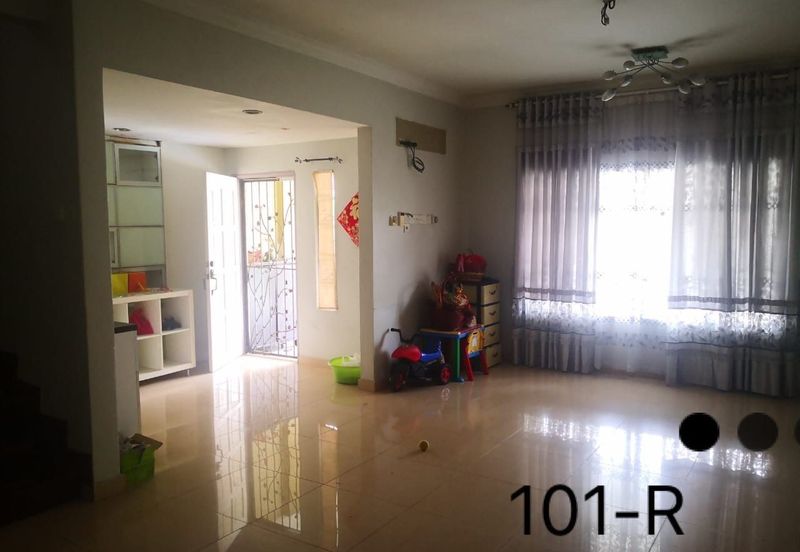 Anggerik Doritis @ Kota Kemuning