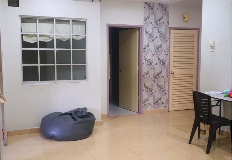 Anggerik Doritis @ Kota Kemuning