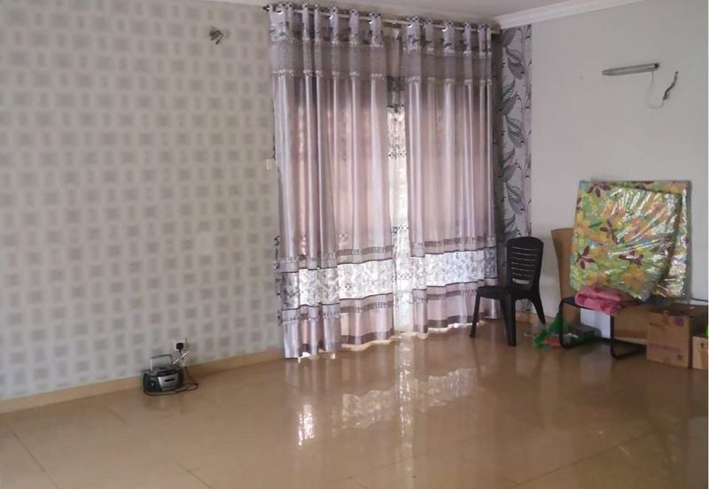 Anggerik Doritis @ Kota Kemuning