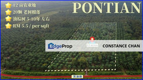 Pontian Agriculture Land For Sale, Kampung Kayu Ara Pasong, Johor, Pontian