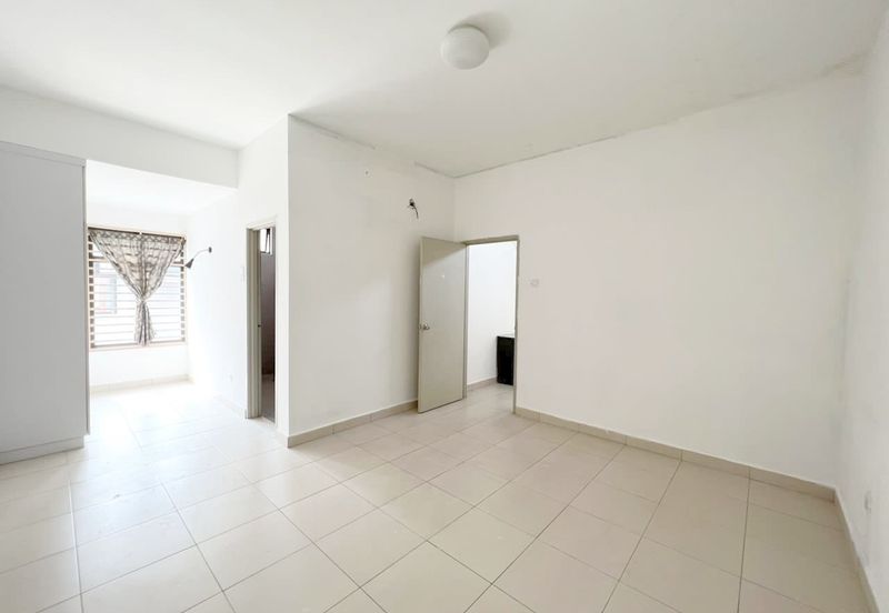 Maple Red, Adda Heights