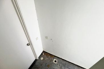 The Rainforest @ Eco Tropics